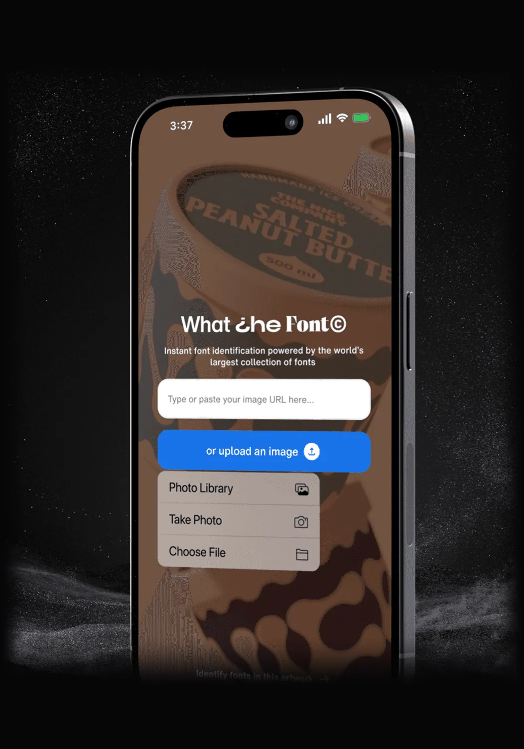 The redesigned mobile web entry, with image URL input and options to choose a photo, take a photo, or upload a file.